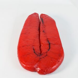 Hueva de maruca – Salazones Sáez